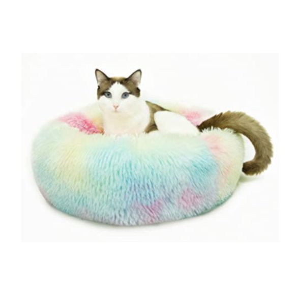 Rainbow Pet Bed